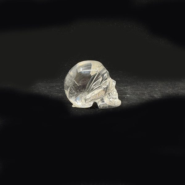 Clarity Skull - Image 2