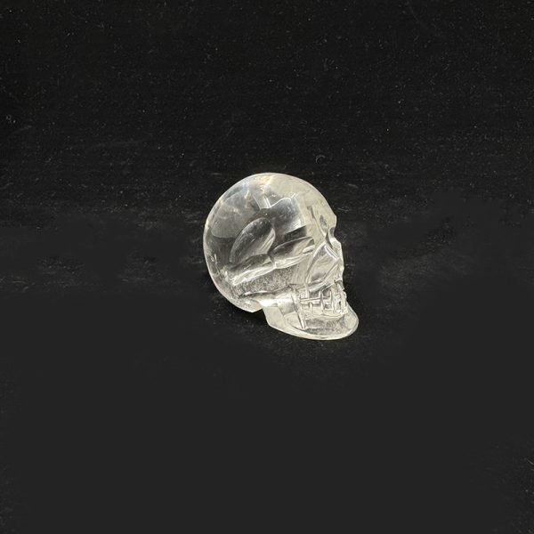 Clarity Skull - Image 5