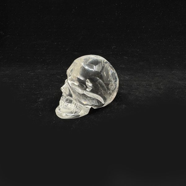 Clarity Skull - Image 6