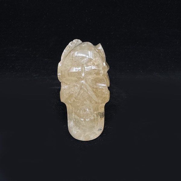 Citrine Skull with Leaves - Image 4