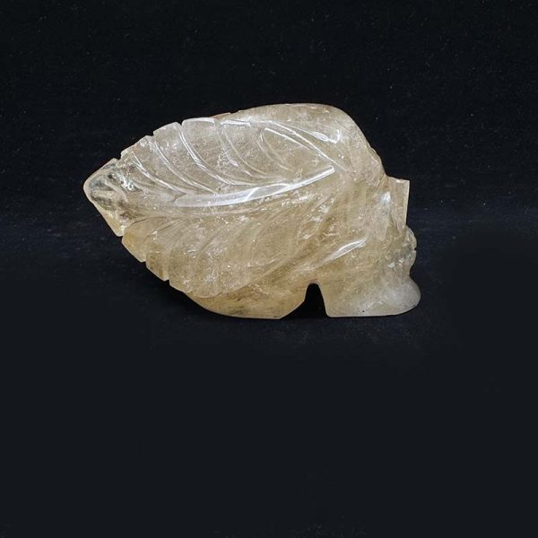 Citrine Skull with Leaves - Image 5